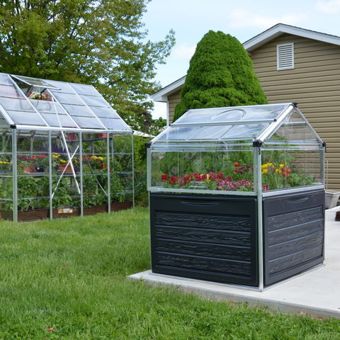 Palram Plant Inn Mini Greenhouse In The Garden