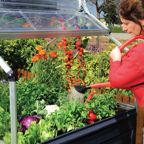 Palram Plant Inn Mini Greenhouse With Plants And Vegetables