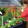 Image of Palram Plant Inn Mini Greenhouse With Plants And Vegetables