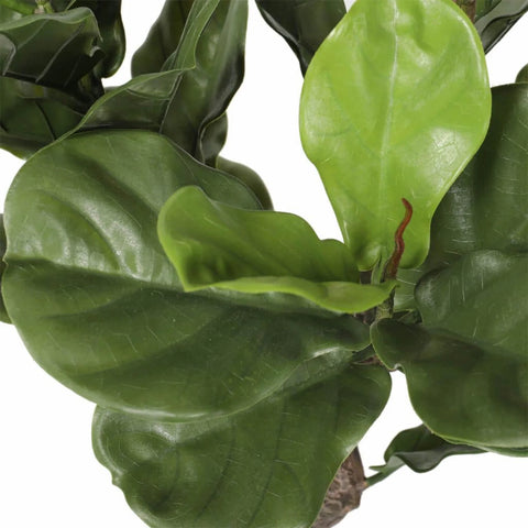 Faux Fiddle Leaf Fig Tree Leaves Image 2