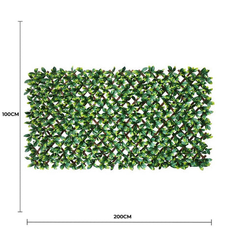 Laurel Leaf Trellis Dimensions