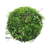 Image of Artificial Green Wall Disc White Country Fern Disc 100cm black dimeter