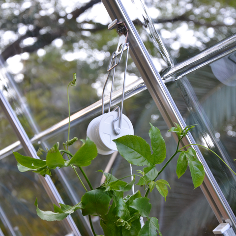 Greenhouse Trellising Kit