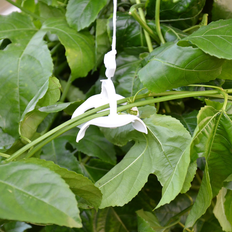 Greenhouse Trellising Kit