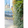 Image of side profile view of Green wall with plants in an urban setting