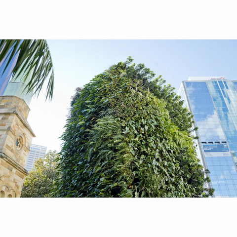 view looking up towards green wall in an urban setting with modern buildings and a clear sky.
