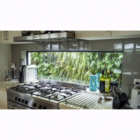 Modern kitchen with gas stove and window view of greenery wall