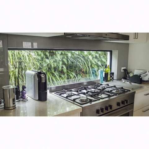 Modern kitchen with gas stove and coffee machine, featuring a window view of greenery wall on fence outside.