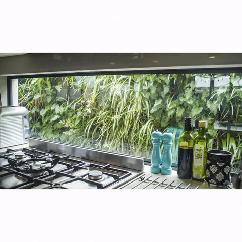 Modern kitchen with gas stove and window view of greenery