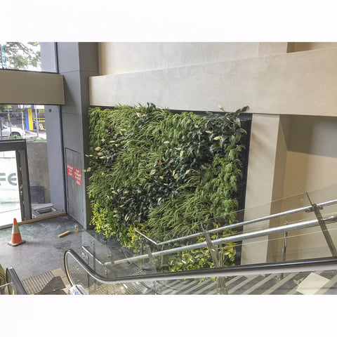 Living green wall in an indoor setting with a staircase and glass railing.