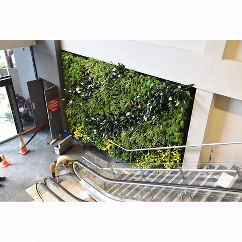 Green living wall in an indoor setting with an escalator