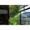 Image of Green living wall inside a modern building with glass windows.