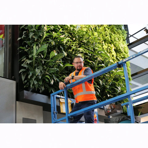 Man in an orange safety vest on a cherry picker with greenery wall in the background