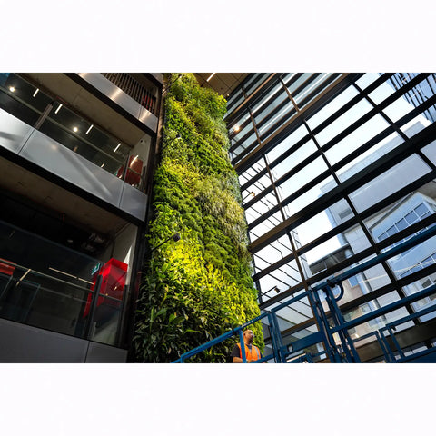 Tall vertical garden inside a modern building with glass walls.