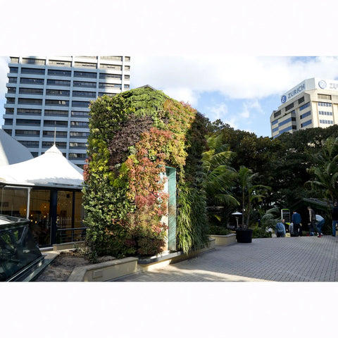 Green wall in an urban setting with buildings and people in the background