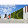 Image of Building exterior with green wall and clear blue sky