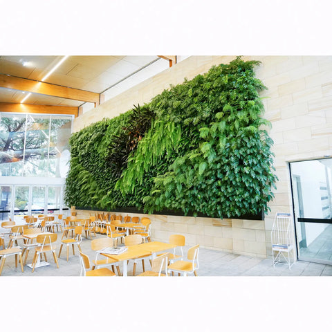 Modern indoor setting with a large green slim pro living wall in an office or dining area.