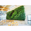 Image of Modern indoor setting with a large green slim pro living wall in an office or dining area.