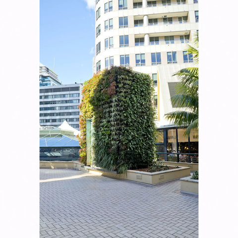 Tall gro wall slim pro vertical garden in an urban setting with a building in the background