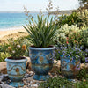 Image of Decorative blue pots with plants by a beach