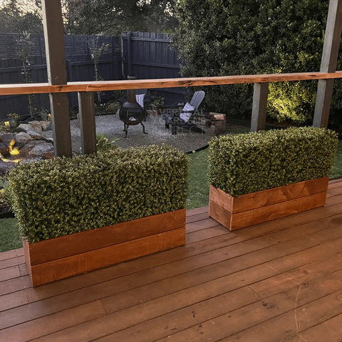 Artificial Natural Buxus Freestanding Hedge 50cm x 1m x 30cm