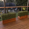 Image of Artificial Natural Buxus Freestanding Hedge 50cm x 1m x 30cm