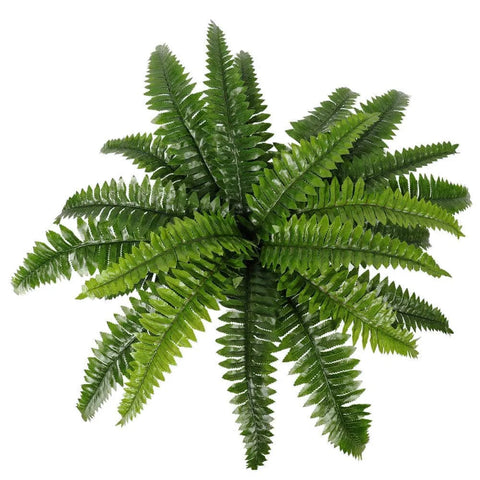 Artificial Boston Fern 55cm