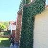Image of Artificial Ivy Leaf Hedge Panel installed around the corner of the parking gate next to the main door