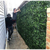Image of Two men installing the Artificial Ivy Leaf Hedge Panel on a backyard wall along a stone pebble pathway. One man stands on a ladder while the other supports him from below