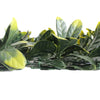 Image of Close up image of the leaves on the Artificial Laurel Hedge 1m x 1m Plant Wall Screening Panel UV Protected