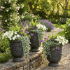 Image of graphite french urn set of 3 in garden setting