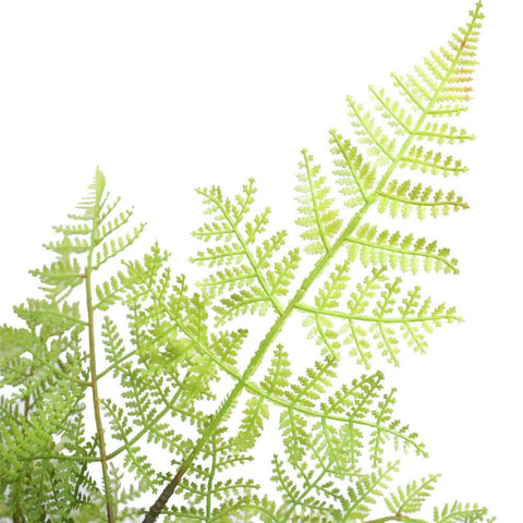 Artificial Lifelike Fern Tree 90cm