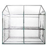 Image of 1.9m x 1.2m Transparent Walk In Green House