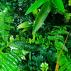 Image of Zoomed in view of the stems on the  Wild Tropics Artificial Vertical Garden Panel