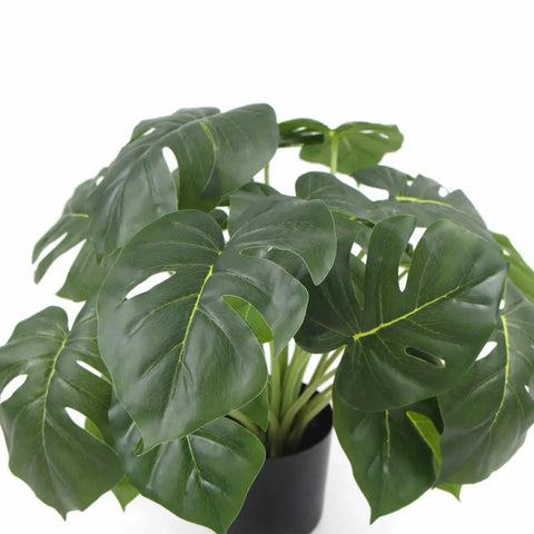 Potted Artificial Monstera Deliciosa Plant With Real Touch Leaves 50cm