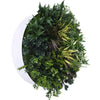 Image of 60cm Outdoor Artificial Green Wall Disc UV Stabilised