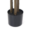 Image of Artificial Ficus Tree 180cm Nearly Natural UV Resistant