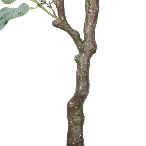 Artificial Eucalyptus Tree (Red Box Polyanthemos) 150cm