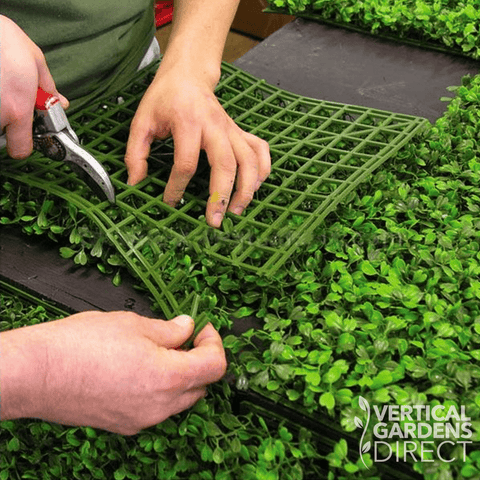 Artificial Boxwood Hedge Panel Sample Piece