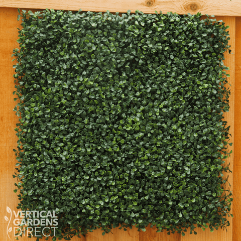 Artificial Boxwood Hedge Panel Sample Piece