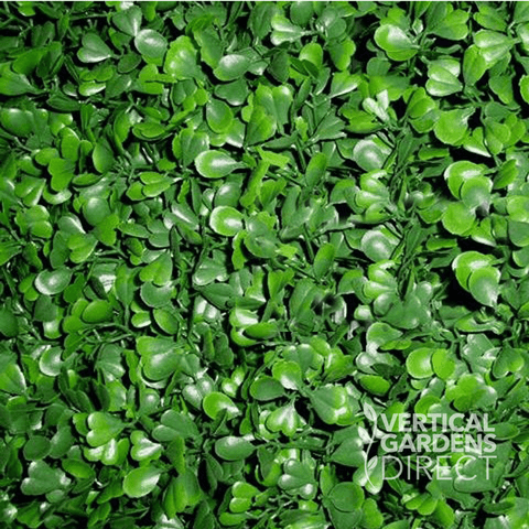 Artificial Boxwood Hedge Panel Sample Piece