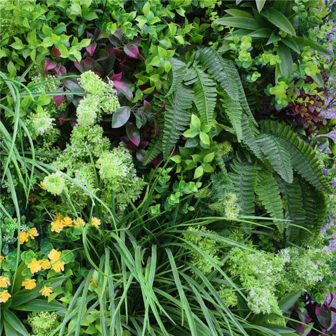 Close Up View Of The Foliage Including Ferns, Grasses and Flowers of the Artificial Country Fern Recycled Vertical Garden Panel 