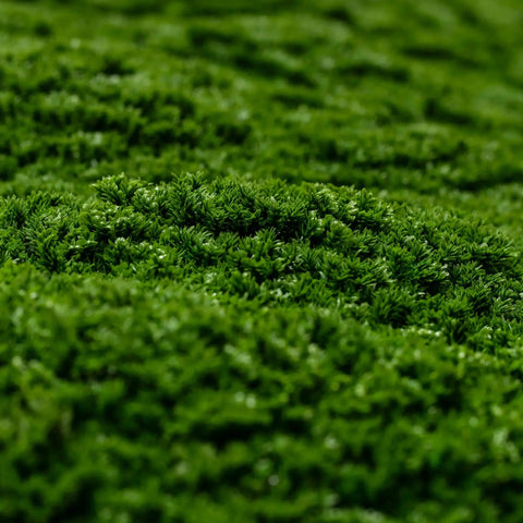 Artificial Dark Moss Green Wall Panel 1m x 1m UV Stabilised