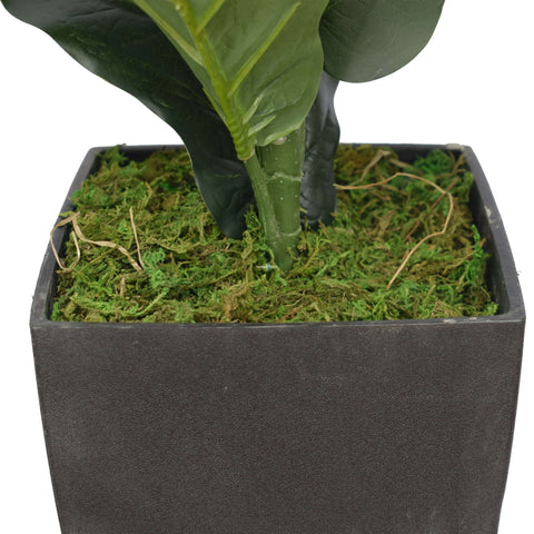 Artificial Fiddle Leaf Fig Tree 70cm