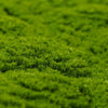 Image of Artificial Fresh Moss Green Wall Panel 1m x 1m UV Stabilised