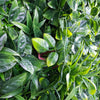 Image of Artificial Green Meadows Vertical Garden Sample