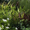 Image of Artificial Green Wall Disc Art 90cm Green Field UV Resistant - White