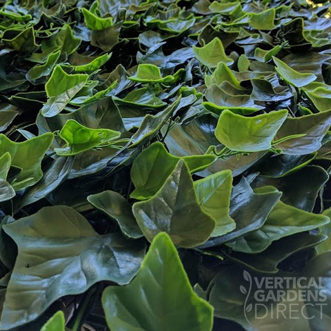Artificial Ivy Leaf Panel Sample