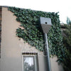 Image of Artificial Ivy Leaf Panel Sample