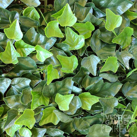 Artificial Ivy Leaf Panel Sample